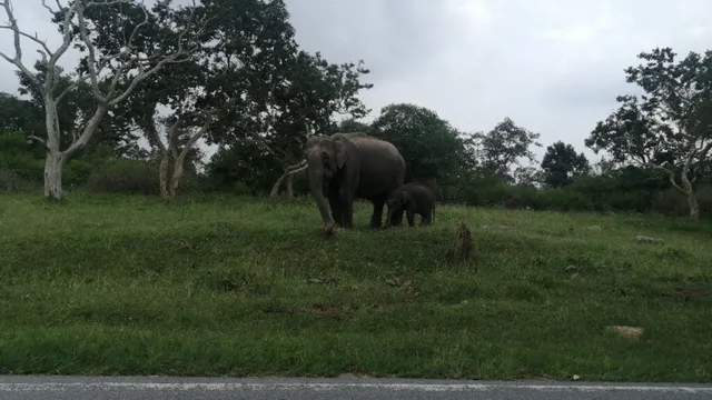 Ooty chika tours and travels - 3