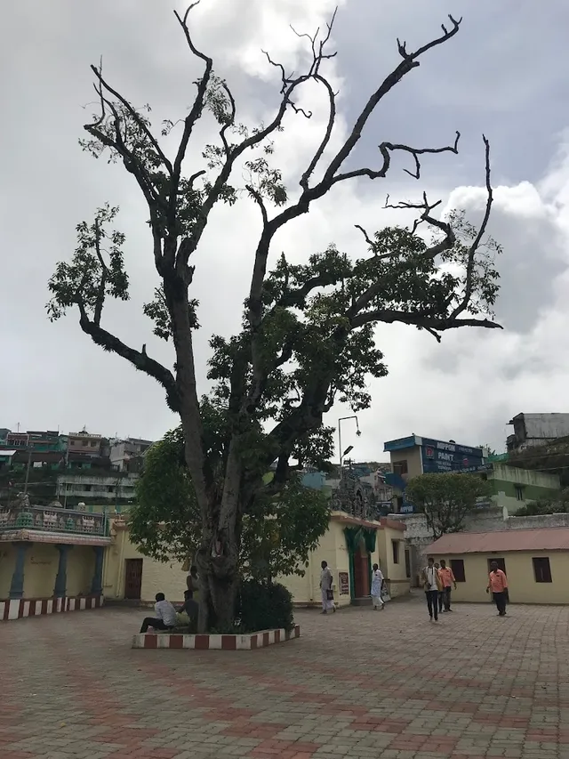 Suguna Flower Shop - 5