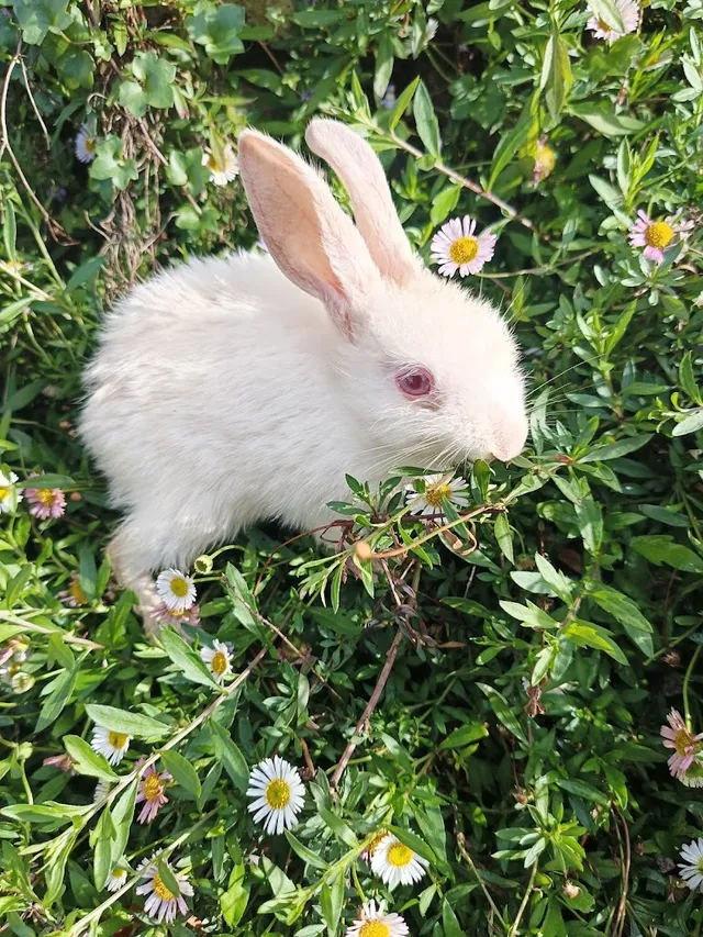 Bubbles Aquarium &pets shop - 2