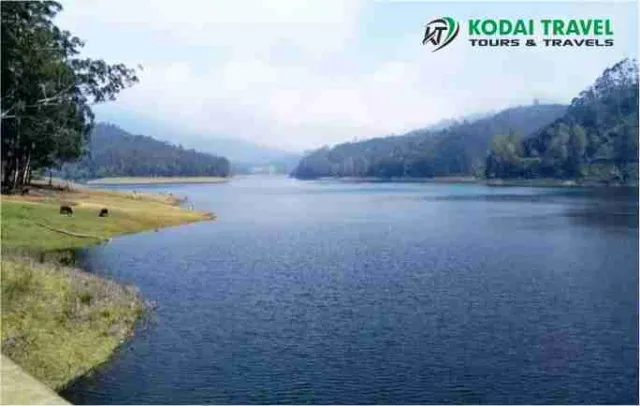 KODAI TRAVEL (TOURS AND TRAVELS IN KODAIKANAL) - 2