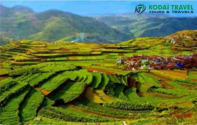 KODAI TRAVEL (TOURS AND TRAVELS IN KODAIKANAL) - 3