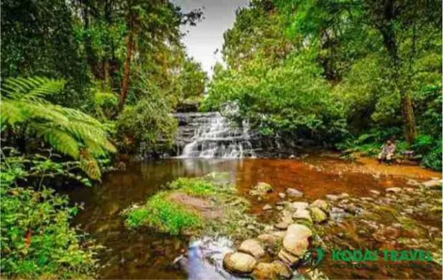 KODAI TRAVEL (TOURS AND TRAVELS IN KODAIKANAL) - 4