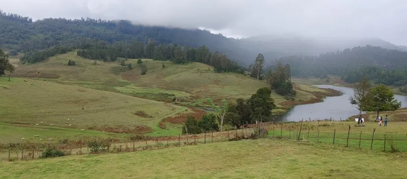 KODAI JOURNEY tours and travels