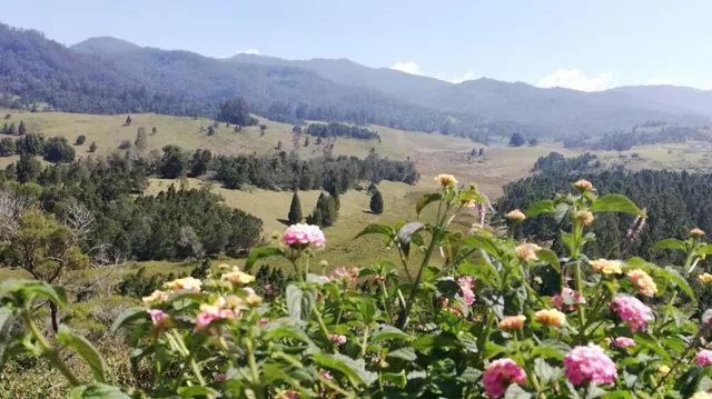 KODAI JOURNEY tours and travels - 5