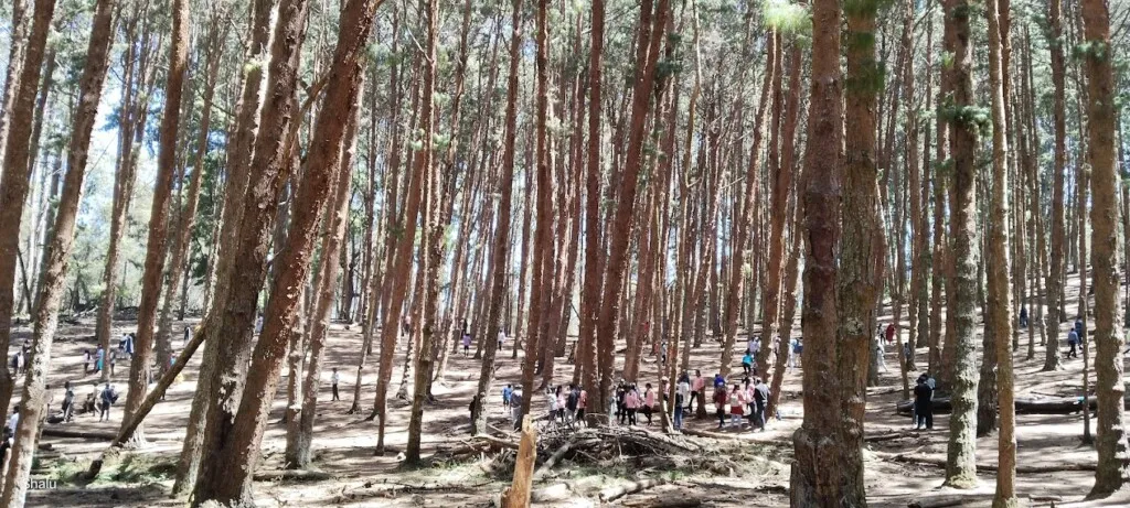 Queen Tours & Travels