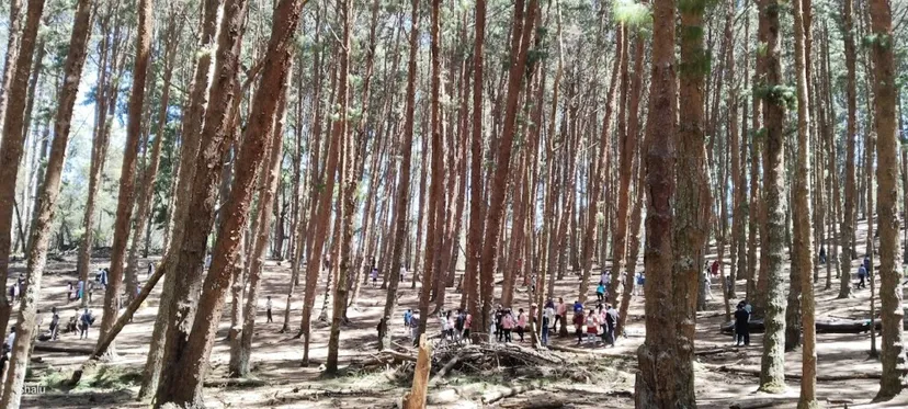 Queen Tours & Travels