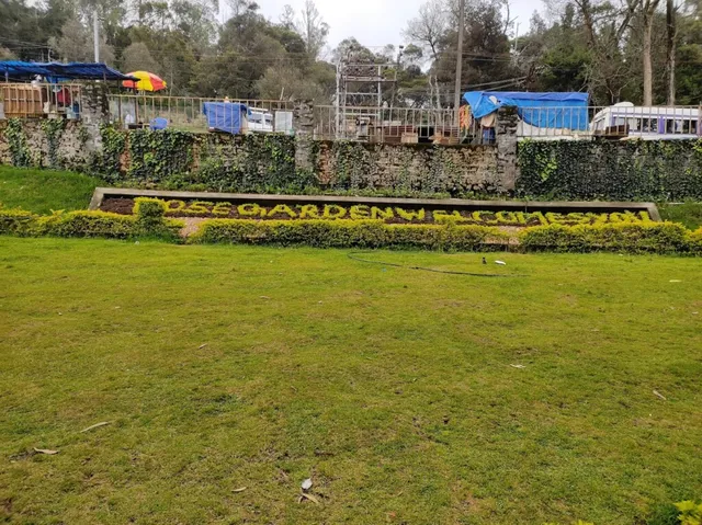 Queen Tours & Travels - 2