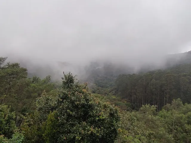 Queen Tours & Travels - 3