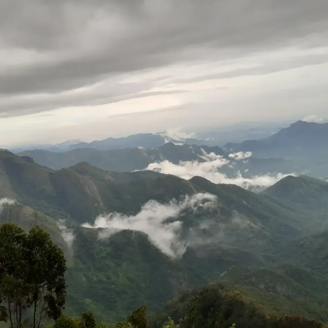 KodaiWorldTravels - 5