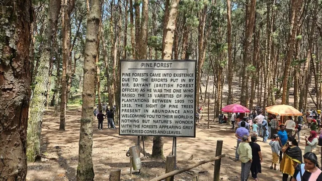 Kodai Make My Cabs - Car Rental Hire in Kodaikanal - Travels in Kodaikanal - Cabs Rental Hire in Kodai Road - 2