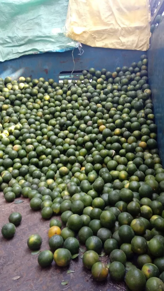 Azeem Juice Corner - 2