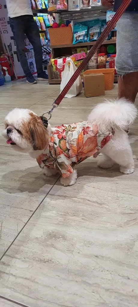 Pet Gallery - One Stop Pet Shop - 3