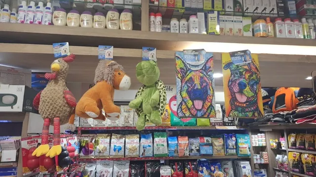 Pet Gallery - One Stop Pet Shop - 5