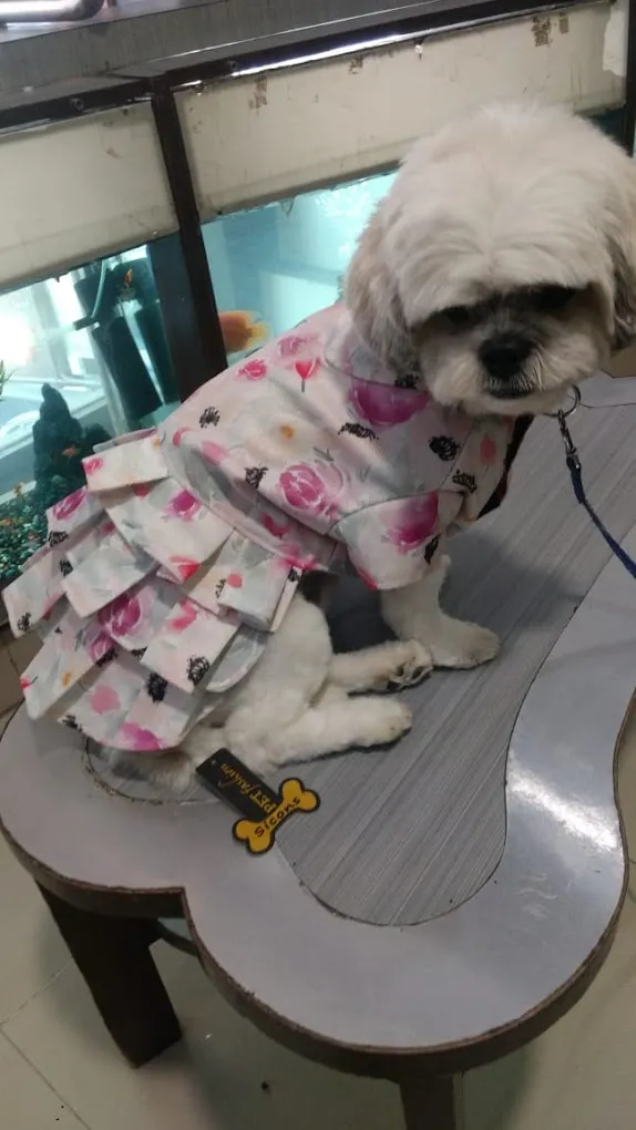 Sicons The Pet Safari - 4