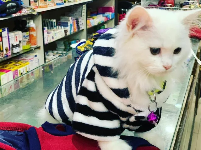 Sicons The Pet Safari - 5