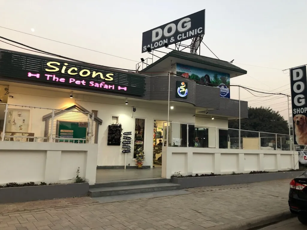 Sicons The Pet Safari