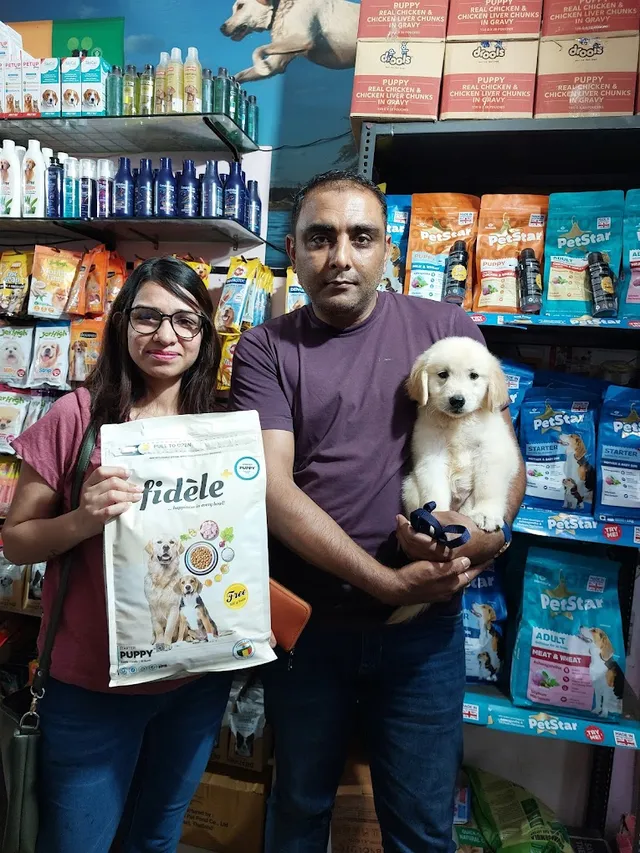 Forest Pet Store - 2