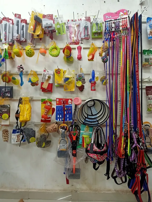 Fifozone Pet Shop - 4