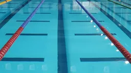 Bright Swimming Academy - 5