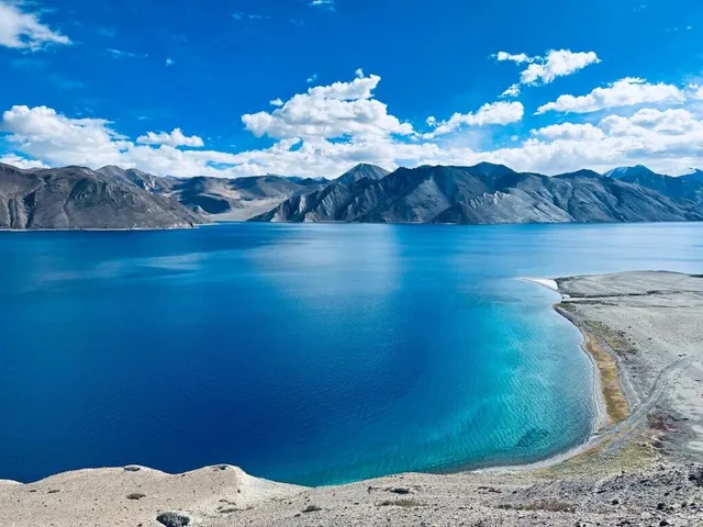 TripzyGo International (H.Q.) - 5