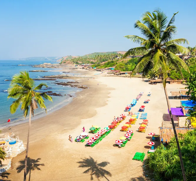 TravelSurface International