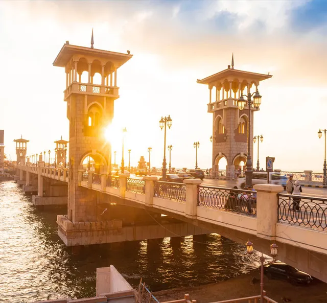 TravelSurface International - 2