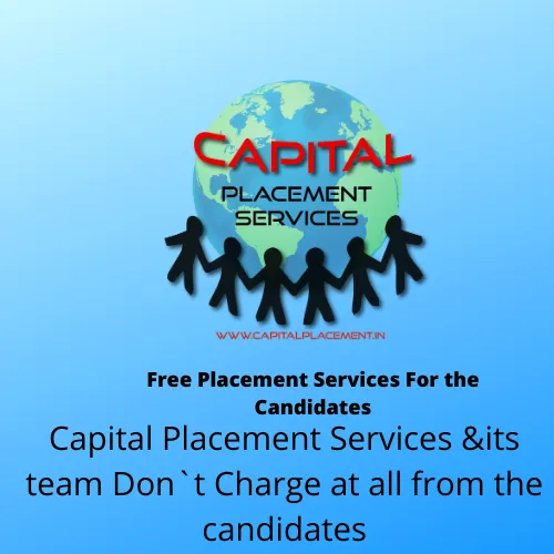 Capital Placement Services
