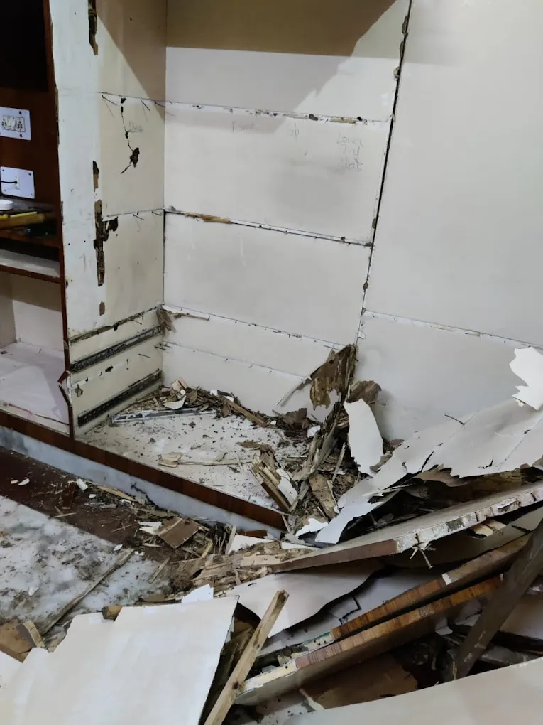 Quality pest control in gurgaon