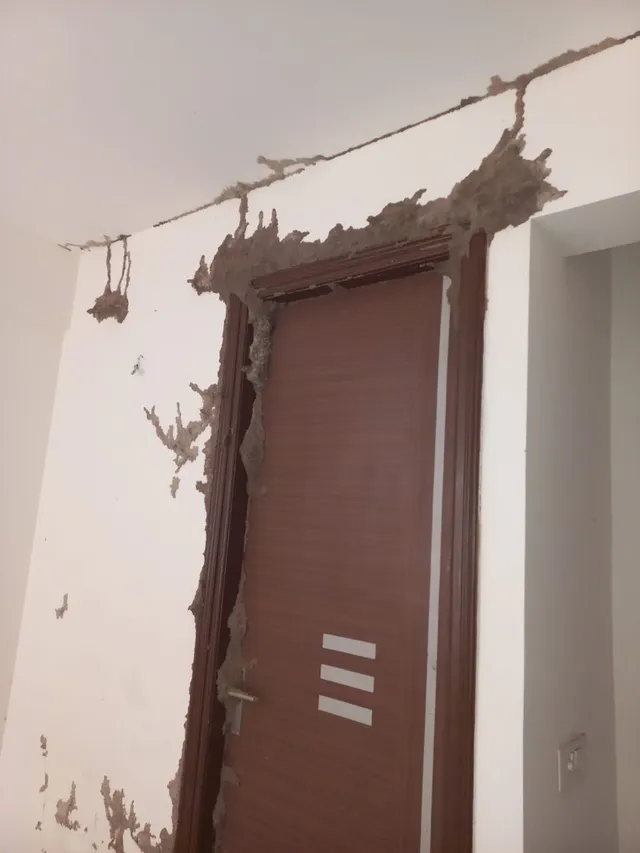 Quality pest control in gurgaon - 2