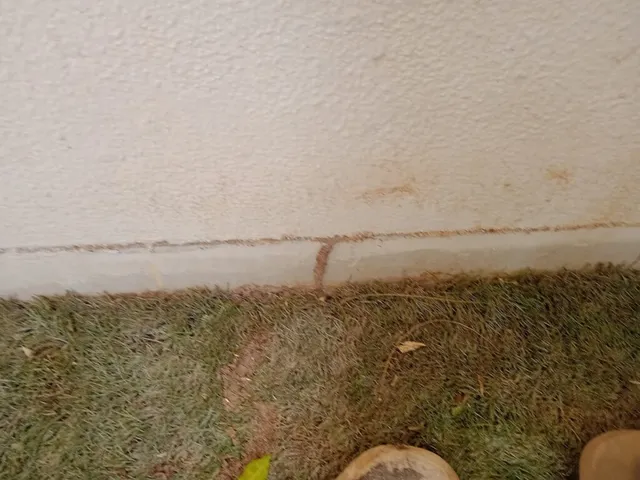 Quality pest control in gurgaon - 4