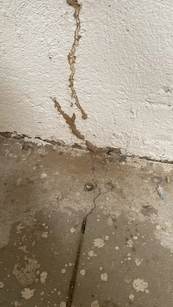 Quality pest control in gurgaon - 5