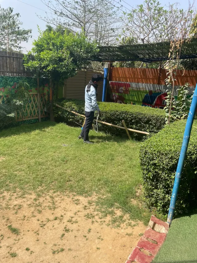 Pest Control & Insecticides Services - 2