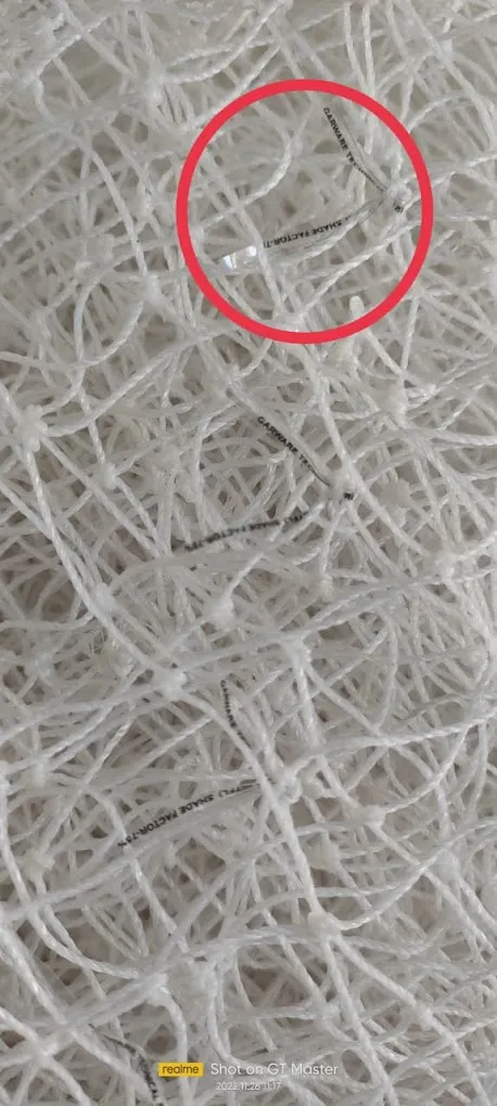 HCI Pest Control Company Gurgaon