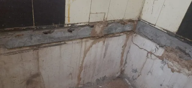 Hindustan Pest Control Services - 2