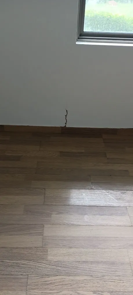 SERVICE MANTRA PEST CONTROL - 4