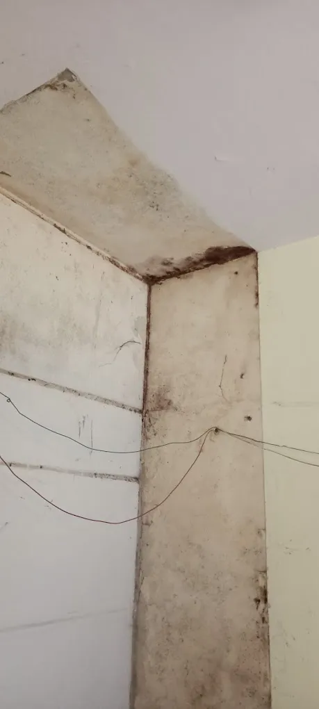 SERVICE MANTRA PEST CONTROL - 5