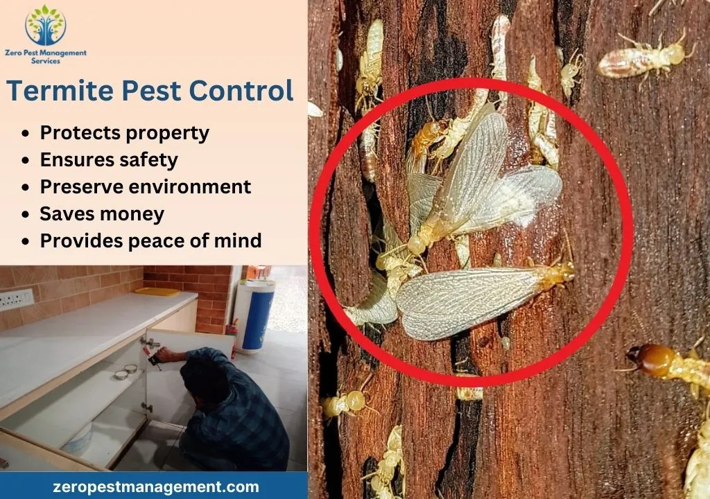 Zero Pest Management Services