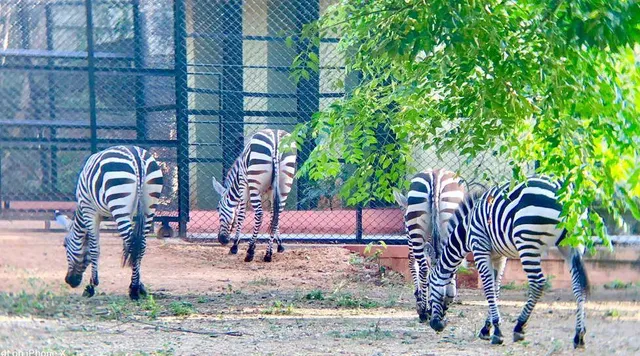 Goatrade Farming Co. Ltd. - 2