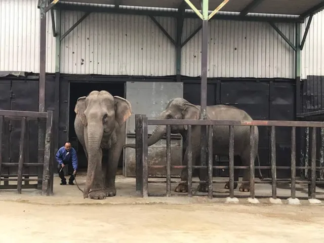 Goatrade Farming Co. Ltd. - 5