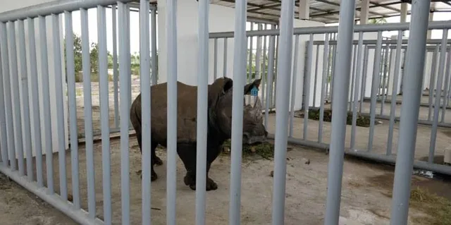 Goatrade Farming Co. Ltd. - 6