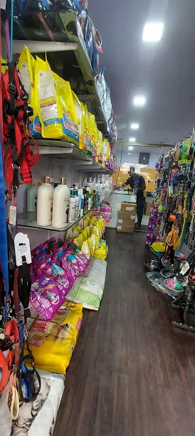 Dog Father Pet Shop - 2