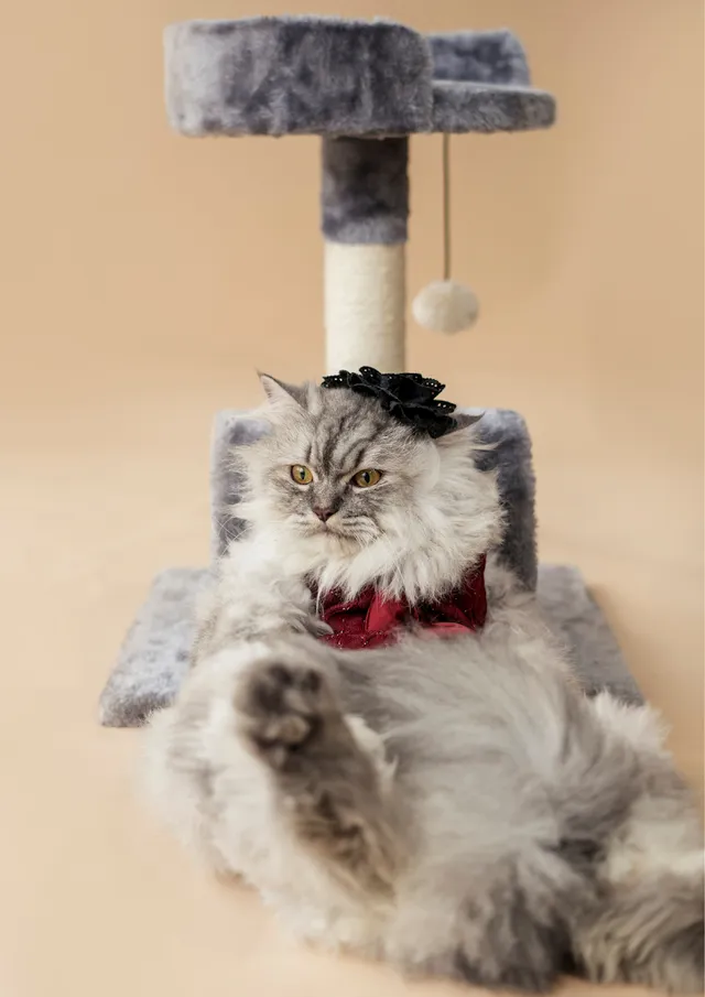 JUST DOGS | Manpada, Thane - 3