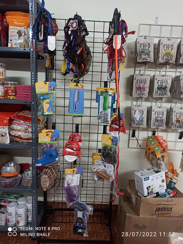 Real is rare pet shop - 3