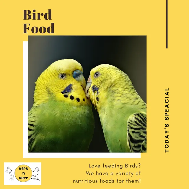 Bark n Purr Pet Shop - 4