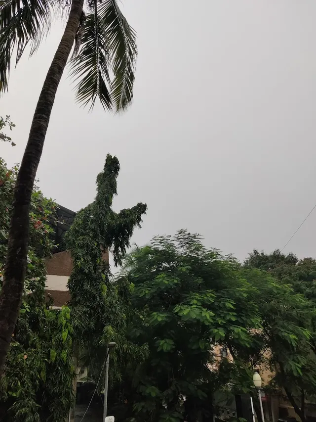 Yashwant Rama Salvi Swimming Pool - 4