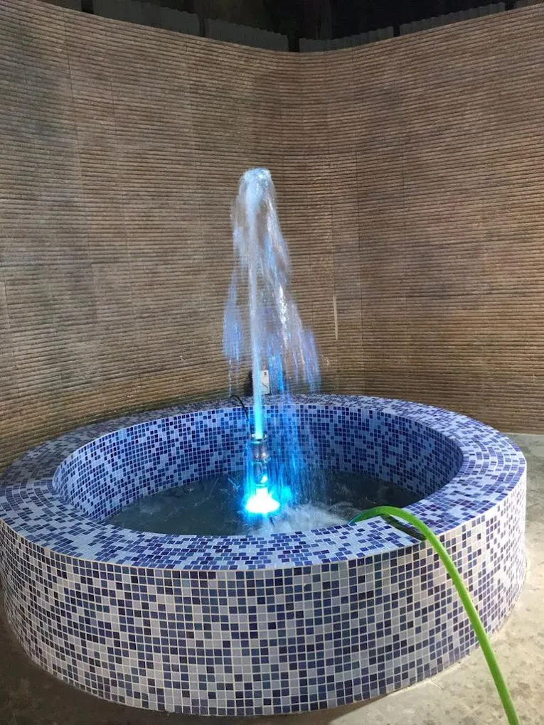 Papillon Swimming Pools Thane