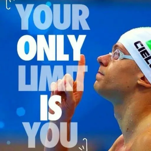 Dolphin Swimmers Welfare Association