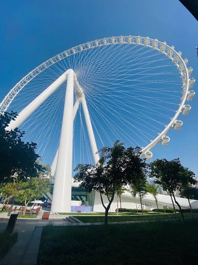 Travizia Tours and Travels - 3