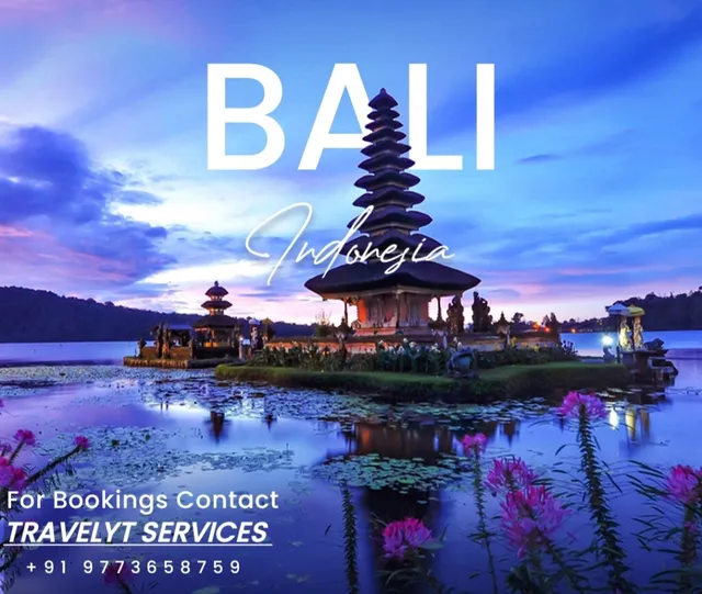 Travelyt Services - 4