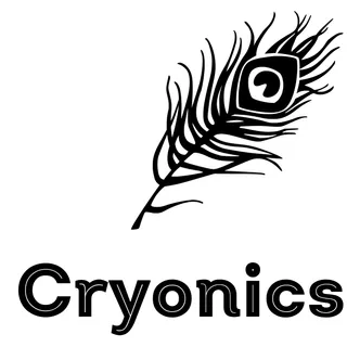 Cryonics IT Services - 2
